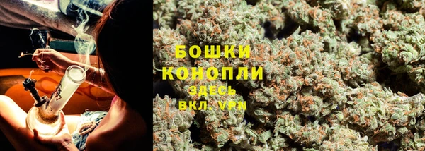 индика Краснотурьинск