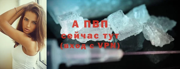индика Краснотурьинск
