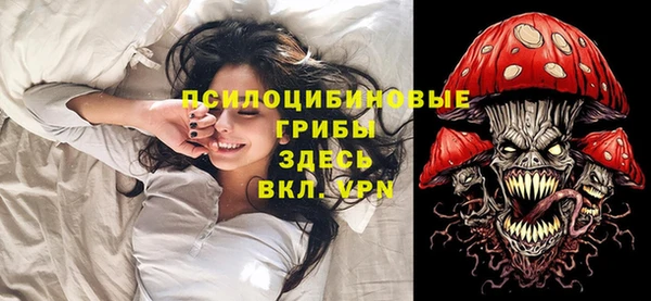 индика Краснотурьинск