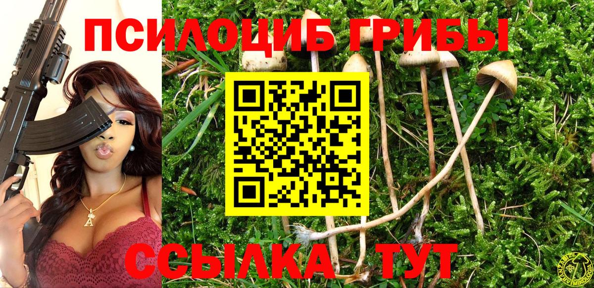 Псилоцибиновые грибы Cubensis Урай